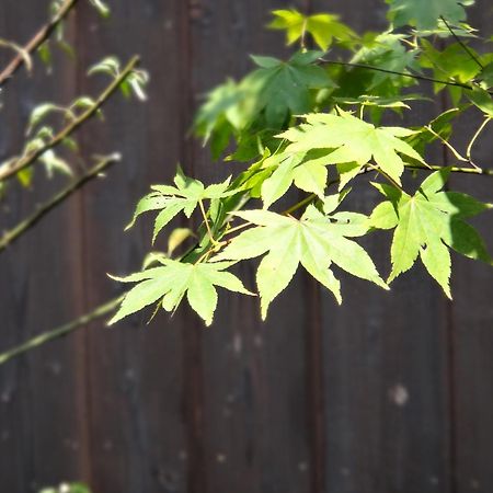 Machiya Oozora Villa Kyoto Luaran gambar